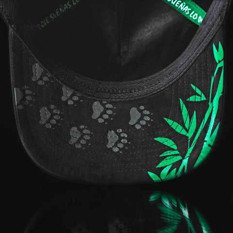 Special Edition Bamboo Panda