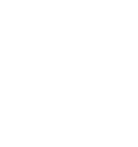 MT BRAND - MEX